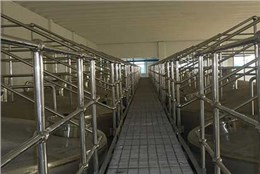 平臺(tái)鋼格板