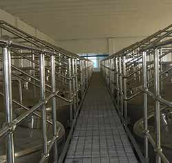 平臺護欄 平臺護欄